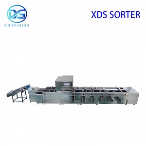 [Hot Item] Ai-Powered Automatic Vegetable Cleaning Weighing Sorting Machine for Quality Grading