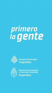 🐪Guanaco (Lama guanicoe) ⬆️Es el mamífero más alto de Sudamérica. Por su contextura, cuello largo y pata delgadas, suele ser confundido con la vicuña (V. Vicugna). 🏔️Habita a lo largo de los Andes, desde el norte de Perú hasta Tierra del Fuego, y en el sector austral llegan al Atlántico. 🤔¿Sabías qué puede tolerar largos períodos sin agua? le alcanza con la humedad de la vegetación y el rocío. 📍Se encuentra en más de 15 de nuestras áreas protegidas. 😄Si conoces a esta especie o pudiste verl