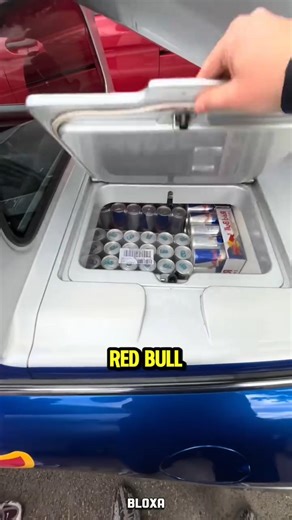 Stop raiding Red Bull cars!