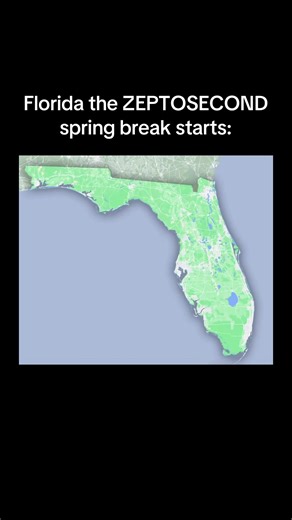 Spring breakers #fyp #meme #florida