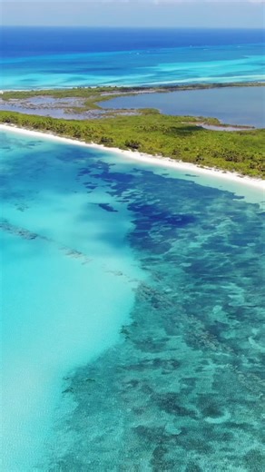 ¡Celebra el Día Internacional del Buceo en Cozumel! 🤿 Sumérgete en las aguas cristalinas de nuestra paradisíaca isla y explora parte del Gran Arrecife Maya, la segunda barrera arrecifal mas grande y de los mejores destinos de buceo del mundo. Con arrecifes vibrantes, abundante vida marina y visibilidad asombrosa, Cozumel es el lugar perfecto para descubrir un universo submarino inigualable. ¡Por esto y mucho mas, ayúdanos a mantener con vida nuestros mares! #DíaInternacionalDelBuzo #Buceo #Cozu