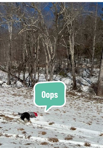 A great way to sled #snow #country #sled #fun #winter