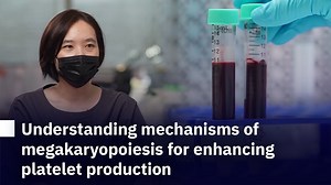 Understanding mechanisms of megakaryopoiesis for enhancing platelet production - Mahidol Channel