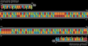 Como fazer primers para pcr - Notícia 2026
