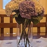 CYS EXCEL Cylinder Clear Glass Vase (H-16" D-6") | Multiple Size Choices Glass Flower Vase Centerpieces | Hurricane Floating Candle Holder Vase