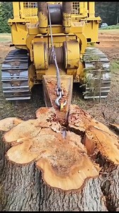 Stump Grinder Video 👇 https://bitly.cx/YDVFM | Chainsaws & Forestry