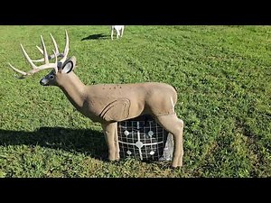 Shooter Buck 3D Deer Archery Target G71600