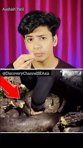 Swallowed Alive: The Anaconda Experiment