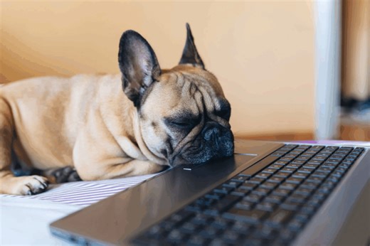 En av de største Windows-problemene er løst