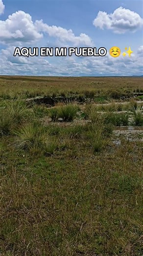 #lapaz_bolivia🇧🇴