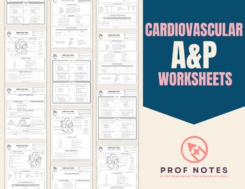 Cardiovascular System Worksheets   Key | Anatomy & Physiology | Mini-Series