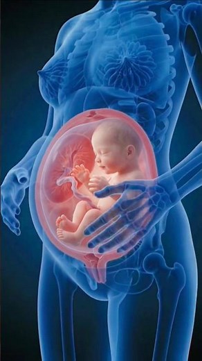 Pregnancy baby bump transformation