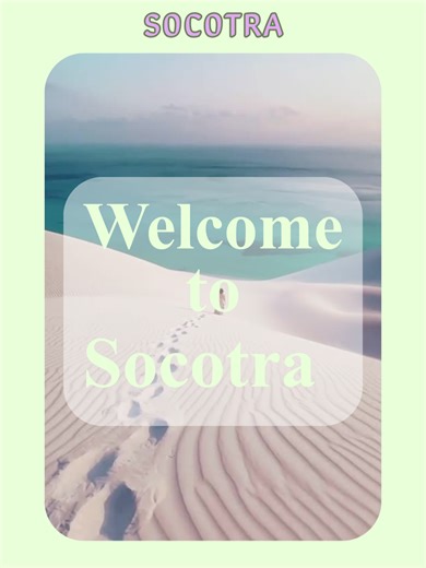 Discover Socotra: Yemen's Hidden Natural Wonder