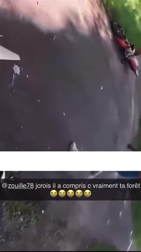 Actualité Shock on Instagram: "« C’est ma forêt » 😭😭 Abonne-toi à @actushock & @actuwow pour + de vidéos exclusives ! La vidéo complète et NON FLOUTÉE est disponible en BI0. #actu #choc #viral #motard #forêt"