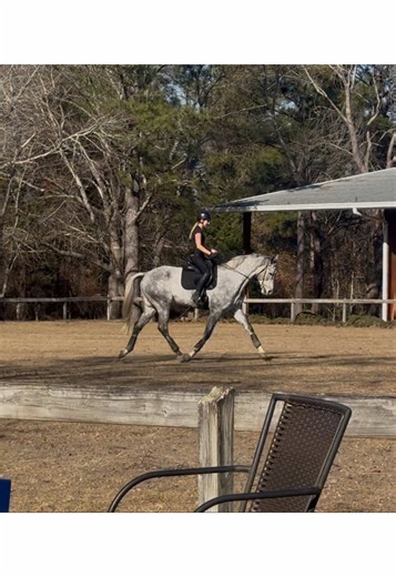 spent a month in aiken learning from Waylon! sadly we’re back in cold michigan but so thankful i got to spend a month with my boy on my winter break🩷 #eventing #horsesoftiktoktok #ottb #fyp #jumping