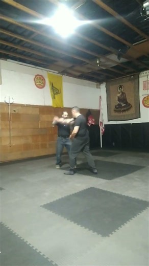 southern mantis // exercises // applications #martialarts #shaolin #practice