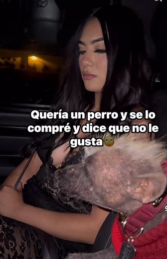 Perro Xoloitzcuintle y su Relación con el Perú