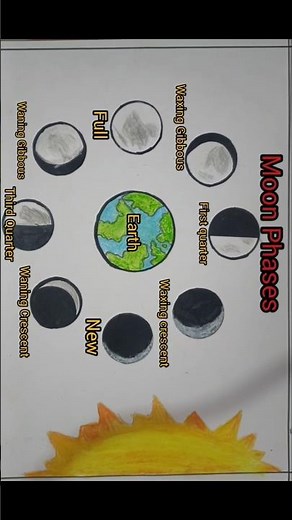 Moon Phases 🌙 | Diagram with Names #schoolproject #moonphases #chart