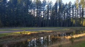 49cc 2-Stroke Gas Powered Pocket Bike for Kids, Gas Powered Scooter with Off Road Tires, Motorcycle Dirt Bike, Front & Rear Disc Brakes (Not CA Compliant)