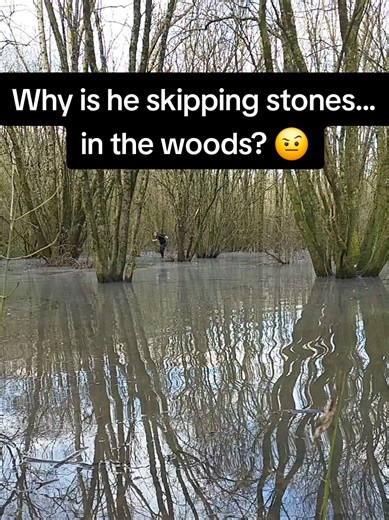 This is peak outdoor fun! Casually skipping rocks through the woods 😅 #stoneskimming #oddlysatisfying #flood