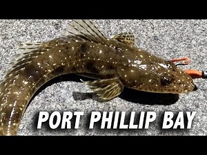 How to Catch Flathead, Port Phillip Bay