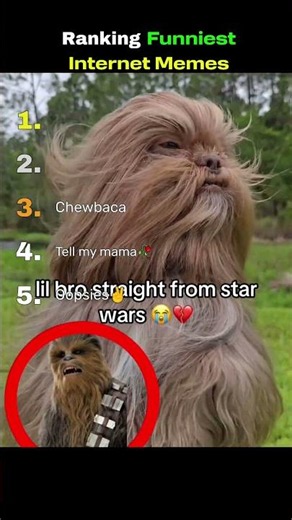 Ranking the Funniest Internet Memes 😂🌐