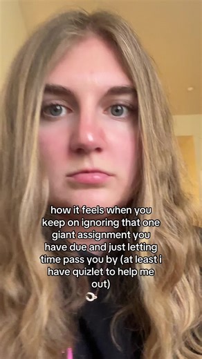 College Student's Assignment Stress & Quizlet Help