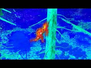 Videos & Audio - Codename: Outbreak