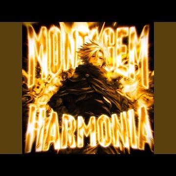 MONTAGEM HARMONIA (Slowed)