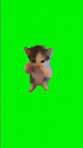 Cat Scuba Dancing Meme 😂 | Cat Scuba Dancing Green Screen | Funny Dancing Cats Compilation