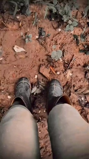 𝗔 𝗨 𝗥 𝗔 on Instagram: "Check out the story 🥵 2006년 개봉한 영 (Labyrinth)은 단순한 판타지 모험을 넘어, 성장과 선택, 그리고 내면의 용기를 그린 작품입니다. 화려한 미로와 마법적 생물들 사이에서도, 영화는 끊임없이 “과연 진정한 길은 어디인가?”라는 질문을 던집니다. 복잡하게 얽힌 길과 신비로운 공간 속에서 주인공 사라가 맞닥뜨리는 도전은 관객의 긴장을 끝까지 유지하게 합니다. 사라가 동생을 구하기 위해 미로를 헤치고 나아가는