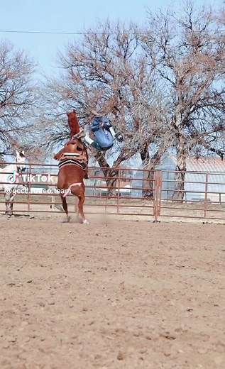 Roper Voskamp's Rodeo Jeans Mishap