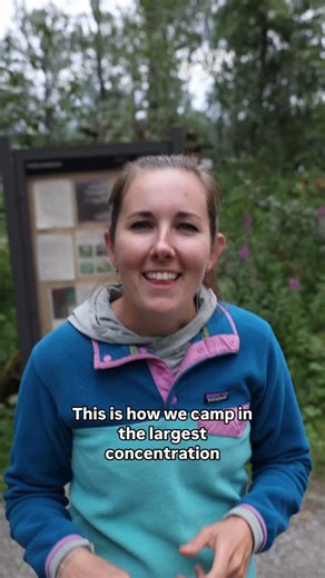 Camping at Brooks Camp in Katmai National Park is one of the most unique wilderness experiences in the world. With a 60 person limit, reservations book up months in advance — and you’ll need to bring everything with you, since there are no roads, stores, or cell service once you arrive. From late June through early September, the campground sits right in the middle of bear territory — meaning you might see bears wandering between the river and the lodge at any hour. The best way to handle it? St