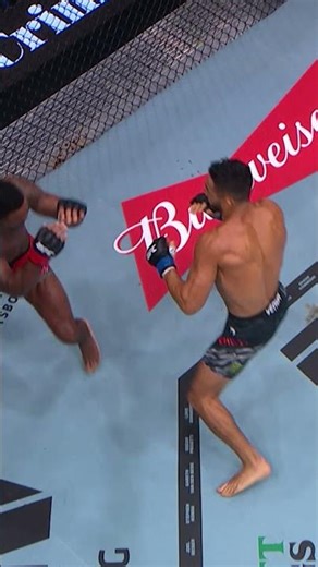 BRUTAL KNOCKOUT🚨#ufclondon