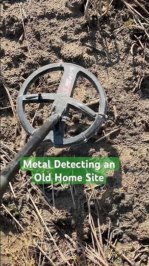 Eyeballed this silver coin on top of the ground #metaldetecting #nuggetnoggin #treasure