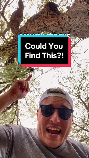 Exciting Geocaching Adventures: Finding Hidden Treasures