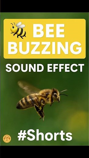 🐝 Bee Buzzing Sound Effect #Shorts