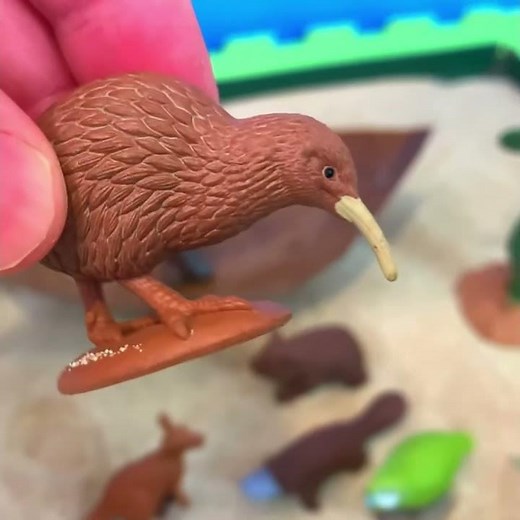 Bizarre Australian Animals! 🦎 Frilled Lizard, Kangaroo & more! #PinoyKids