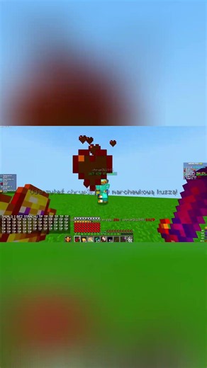 0.01% OF PLAYERS HAVE THIS ITEM on ANARCHIA.GG #minecraft #mc #sagipl #piterszef #dexsi #anarchiasmp