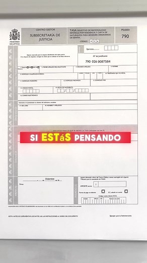 Guía Completa para Pagar la Tasa 790 en España