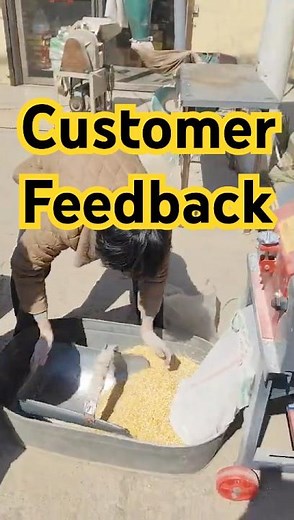 Real Customer Feedback: Efficient Corn Crusher in Action for Animal Feed #poultryfeed