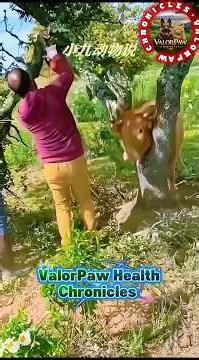 Incredible rescue! How did this man save this animal's life!#rescue#animals#animalrescue#shorts