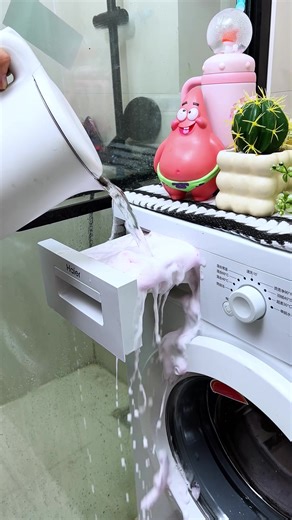 Effective Pet Stain Removal Solutions