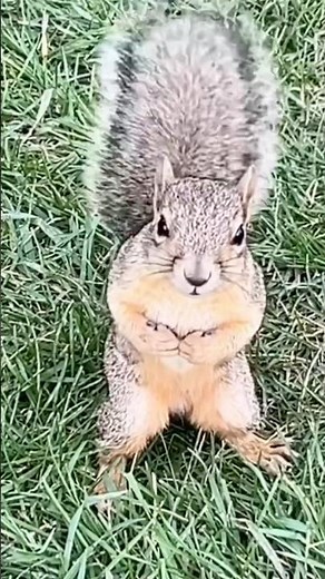 Idaho Falls Adventure