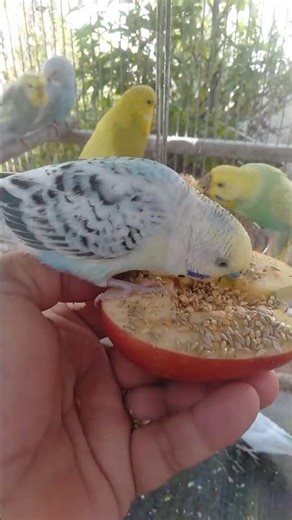 Stunning Mutation in Natural Light