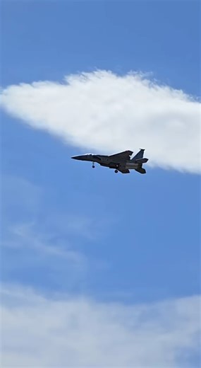Freewing F-15 gear pass and hard landing #f15ex #f15 #modelaircraft #landing #aviation