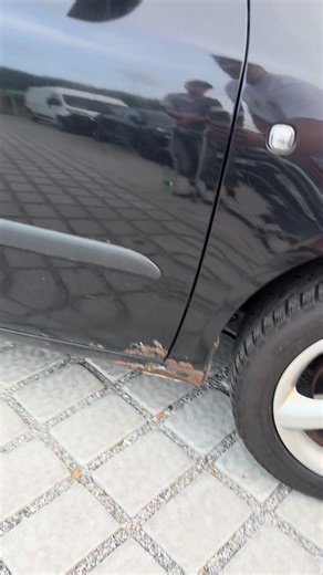 AAA Auto recenze: Proč je cena za ojetinu výsměch