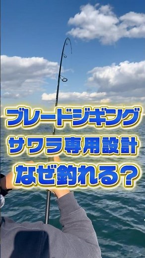 こんなに簡単に釣れる！サワラサゴシキャスティング！
