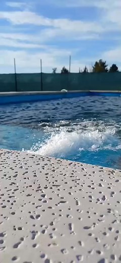  HERMOSO QUINCHO CON PILETA $28.000.000 Recibimos permuta *Terreno de 550m2 *Quincho a terminar *baño de 3x2 a terminar *psina de 7x3 *luz *agua *cierre con caños y tela romboideal llámame 2613364402 | Laura Lisante | Facebook