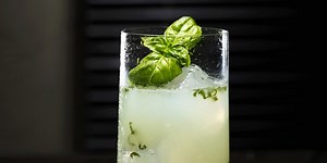 ultimate-gin-cocktail-guide.html